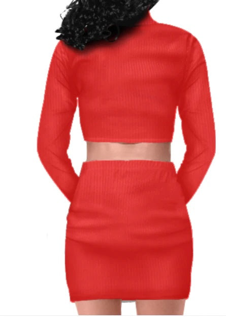 WF Casual Wear High Quality  Long Sleeve Zipper Top And Mini Skirt Tight Sexy Two-Piece Set